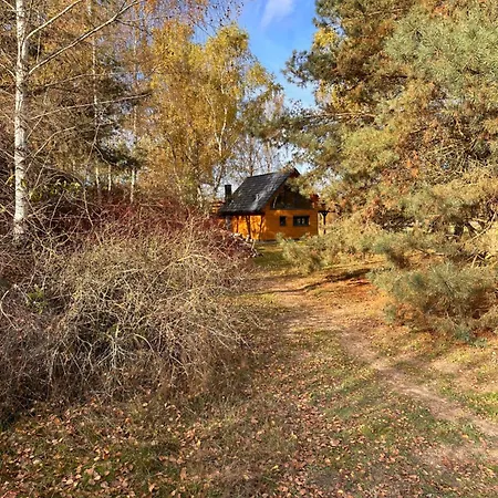 Sauna House * Smyczyna
