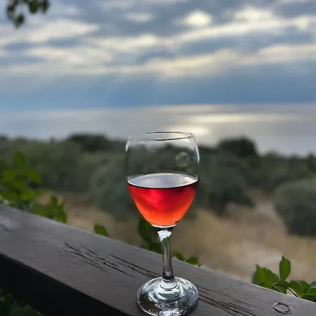 Prázdninový areál Sauna House Smyczyna