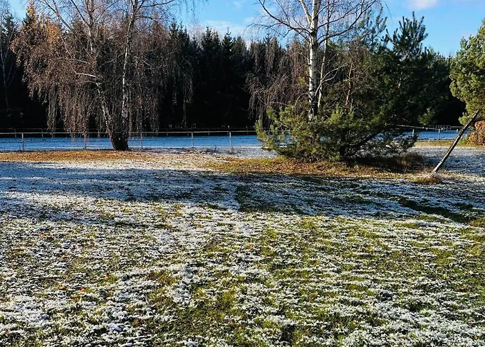 Sauna House Holiday park